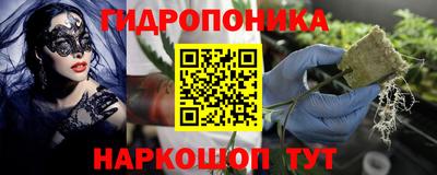 спиды Рыбинск