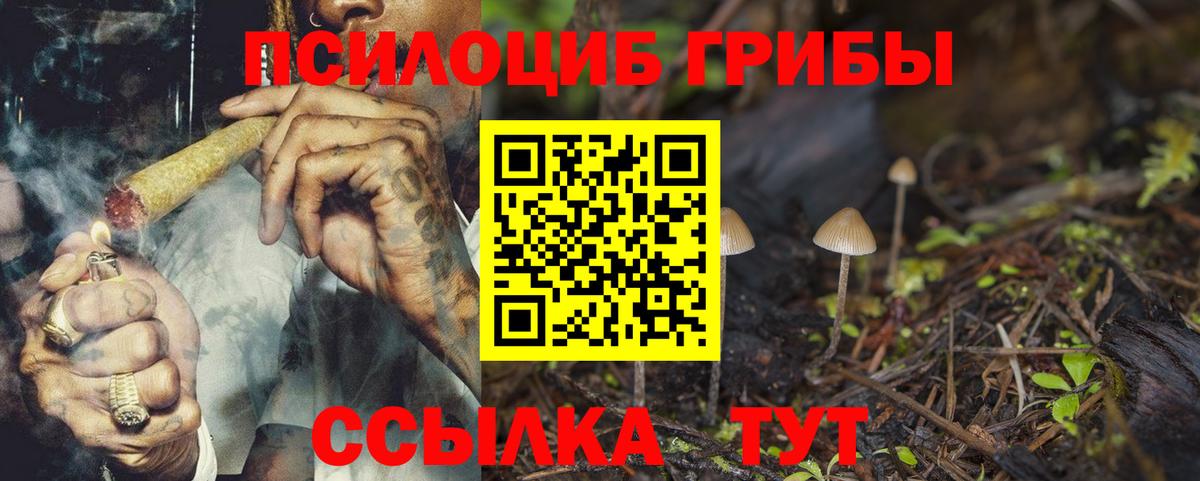 Галлюциногенные грибы Magic Shrooms Ахтубинск